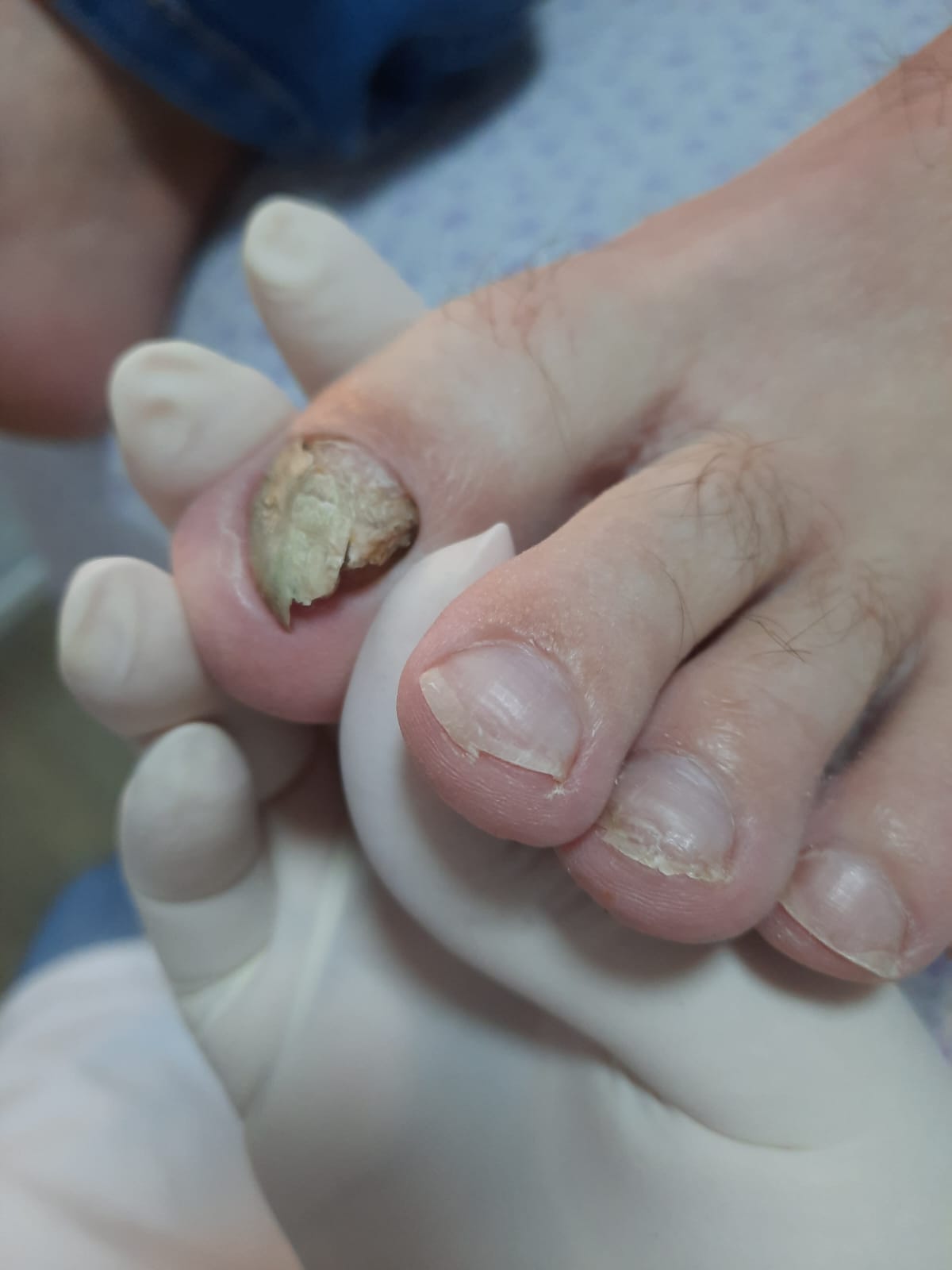 WhatsApp Image 2024-02-07 at 19.04.40.jpeg