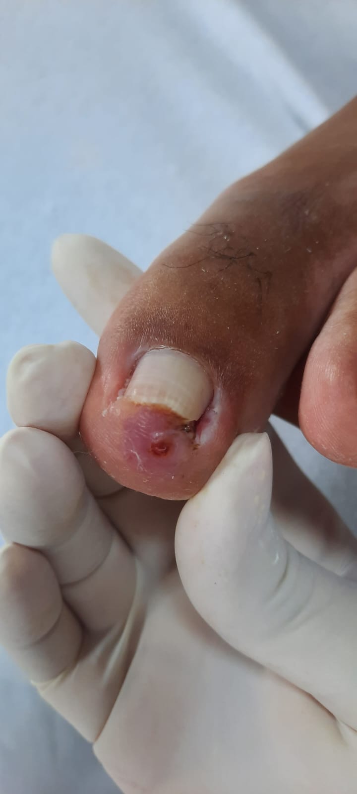 WhatsApp Image 2024-01-31 at 08.40.06 (1).jpeg