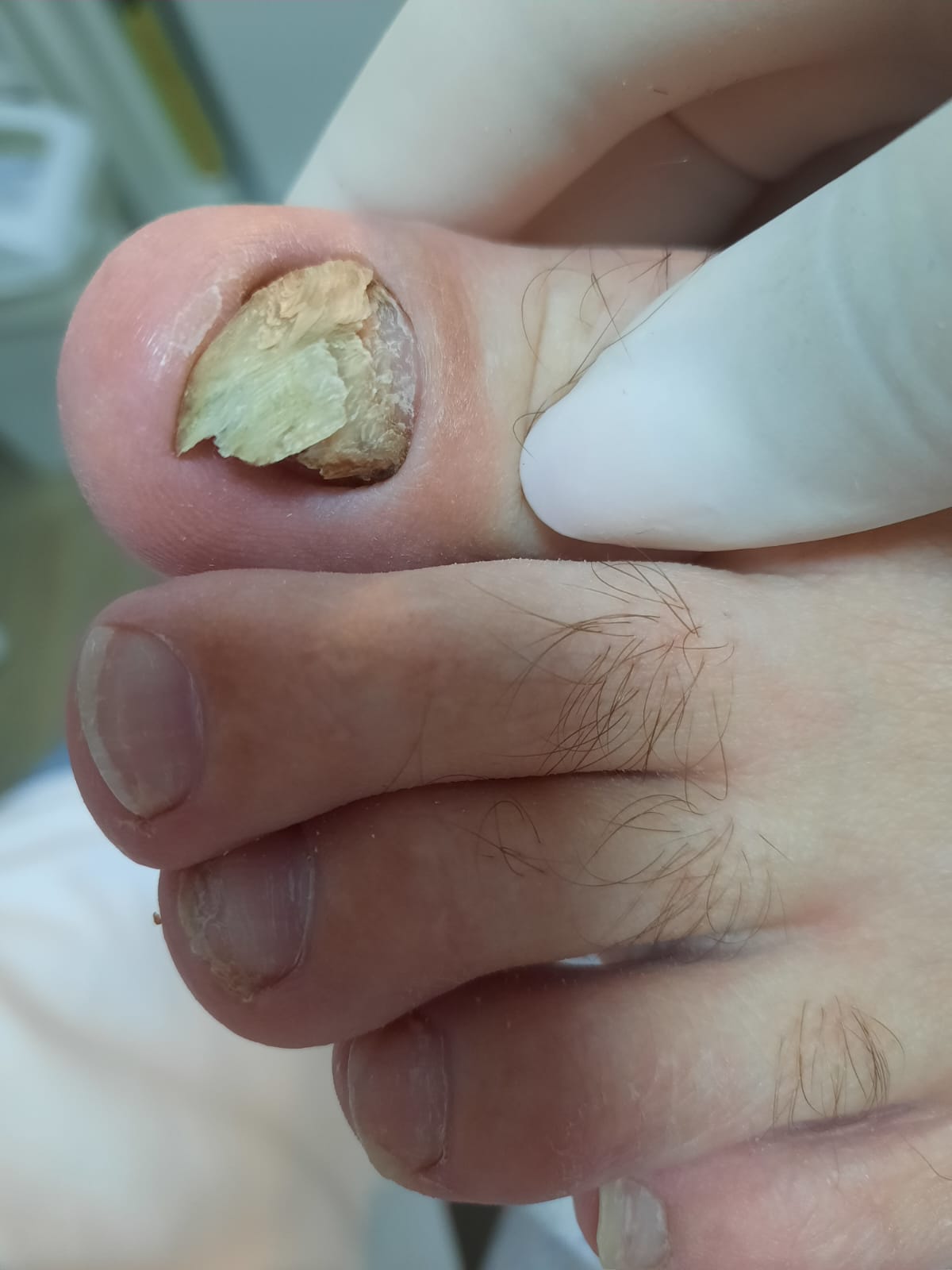 WhatsApp Image 2024-02-07 at 19.04.40 (1).jpeg