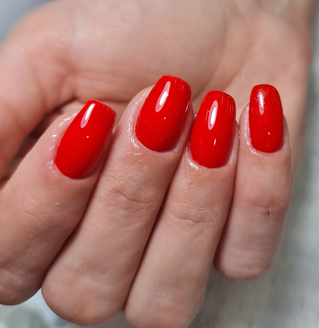 WhatsApp Image 2024-01-31 at 20.49.03.jpeg