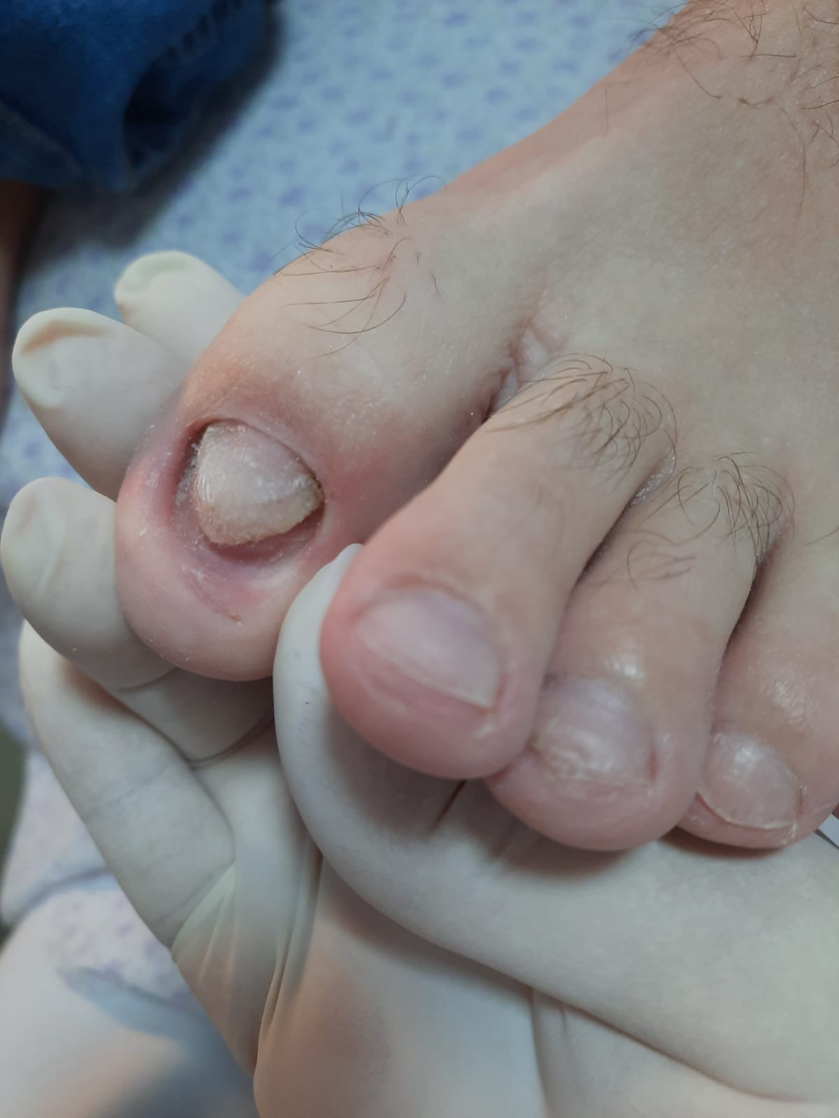 WhatsApp Image 2024-02-07 at 19.04.41.jpeg