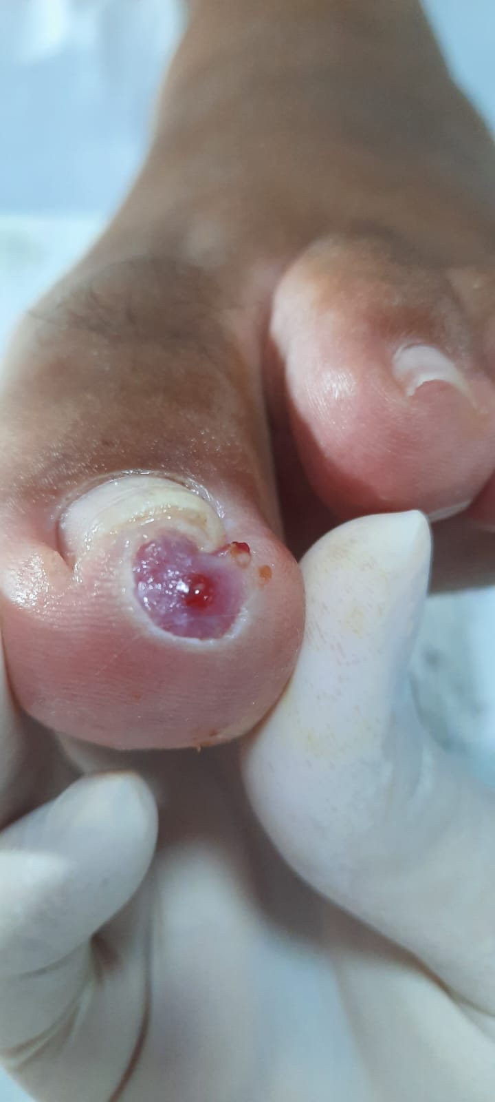 WhatsApp Image 2024-01-31 at 08.40.05.jpeg