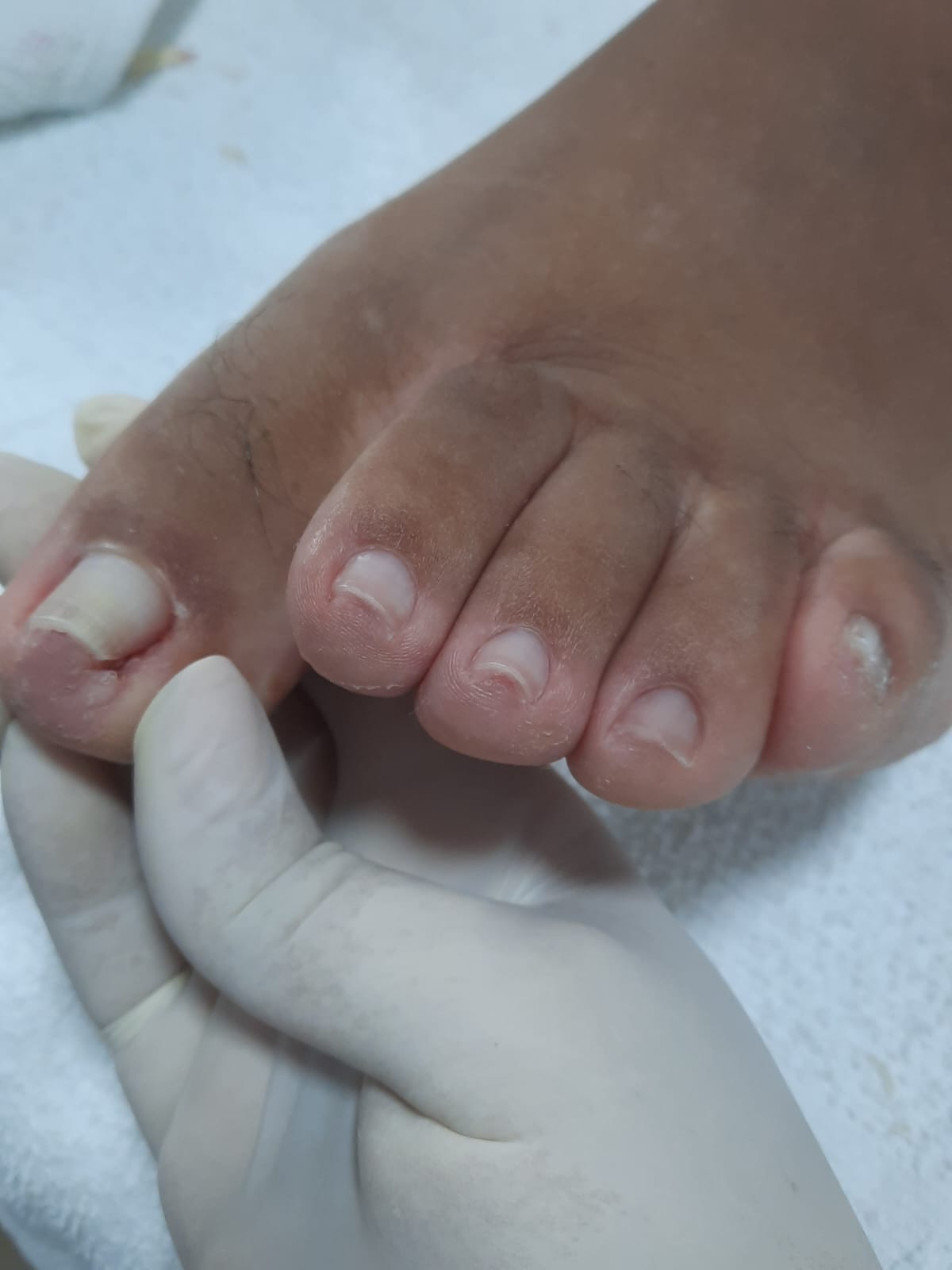 WhatsApp Image 2024-01-31 at 08.40.06.jpeg