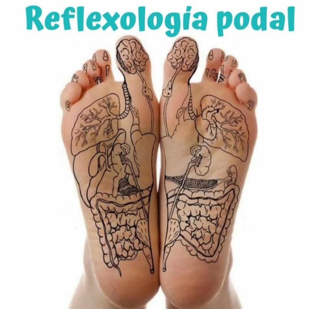 WhatsApp Image 2024-08-08 at 21.58.59.jpeg